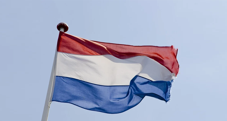 Dutch market dominates local online stores